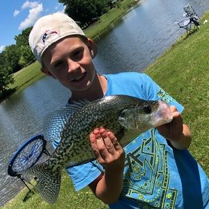 Meet your Posher, Grady